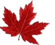 Ecusson - Feuille d'érable - Fête du Canada 2015