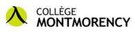 Logo - Collège Montmorency
