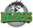 Logo - Humbolt Broncos