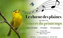 Affiche - Concert du printemps