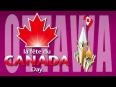 Logo - Défi de la fête du Canada